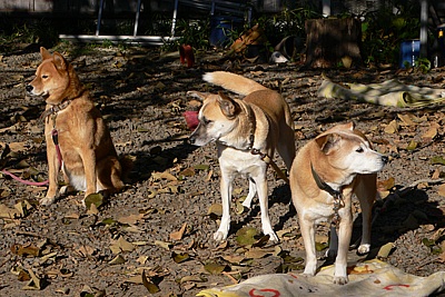 c7543462.jpg