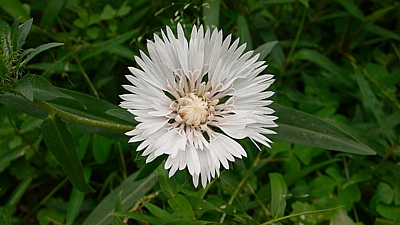 c7c92f6b.jpg