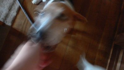 P1280965_resize1