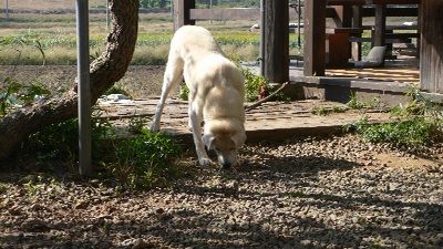 P1230578_resize1