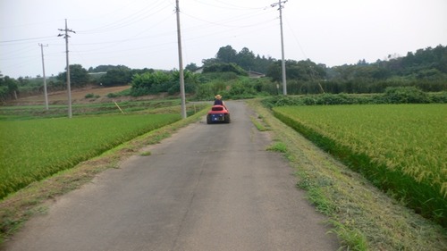 画像6