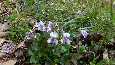 cdbe8689.jpg