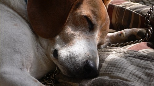 2012-10-17 22:57:36 写真6