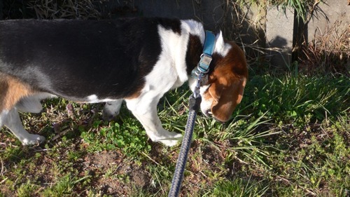 2013-03-24 20:59:49 写真2