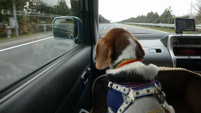 P1240210_resize1