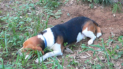 d0ff052d.jpg