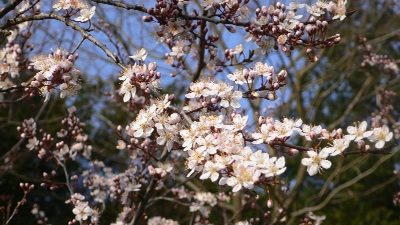 P1150753_resize1