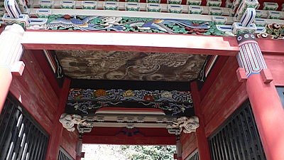 d204df4e.jpg
