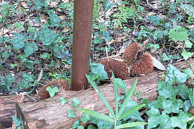 d208390d.jpg