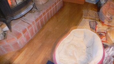 P1300243_resize1