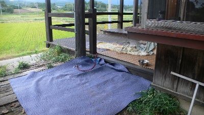 P1290351_resize1