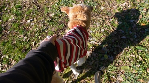 2013-01-05 16:36:18 写真1