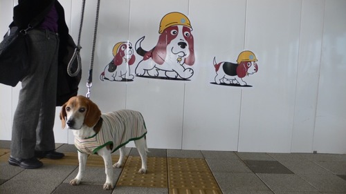 2013-04-17 20:27:10 写真2