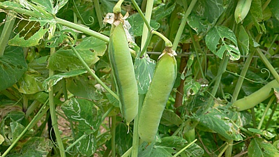 d5f708e4.jpg