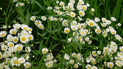 d76f0858.jpg