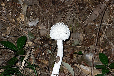 d7784f10.jpg