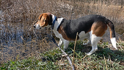d7a532b2.jpg