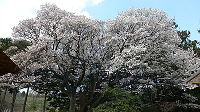 d7d59b25.jpg