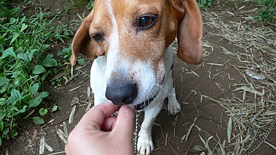 d85b1e1d.jpg
