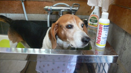 2012-10-04 19:59:11 写真5