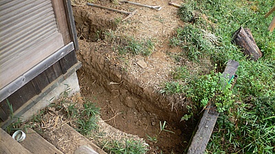 d8980f57.jpg
