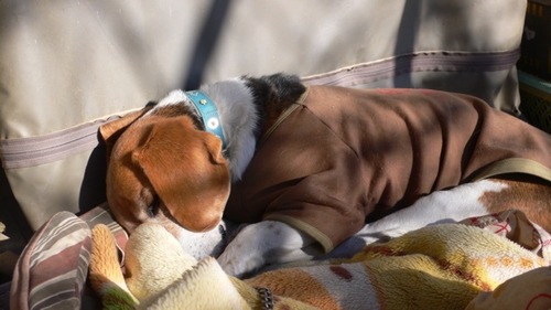 2013-01-05 16:36:18 写真5