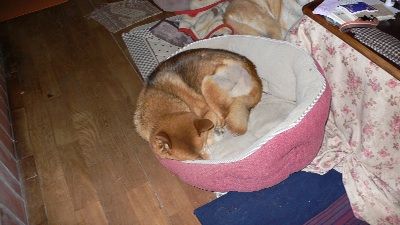 P1300247_resize1