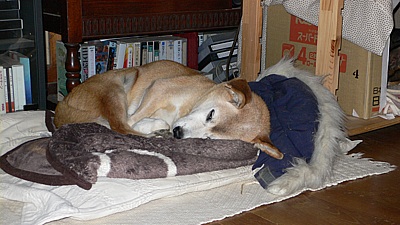 d925e58c.jpg