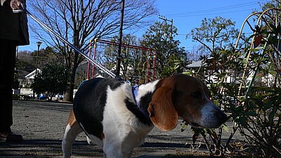 d9c7d332.jpg