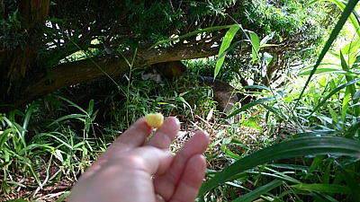 d9f14607.jpg