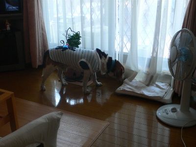P1280224_resize1