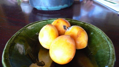 P1160840_resize1