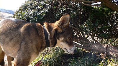 e0f9457d.jpg