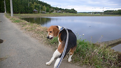 e31009f7.jpg