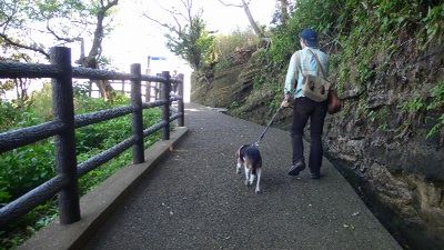 P1300580_resize1