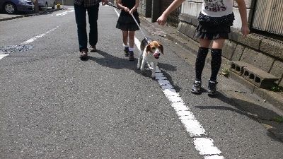 P1200162_resize1
