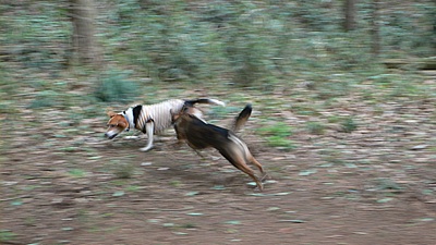 e59780e8.jpg