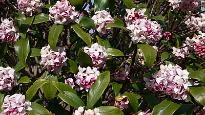e6a8fd72.jpg