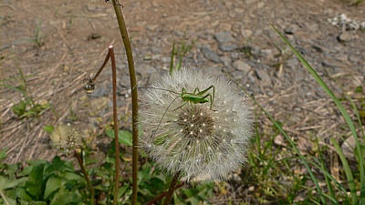 e7078ba3.jpg