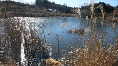 P1240261_resize1