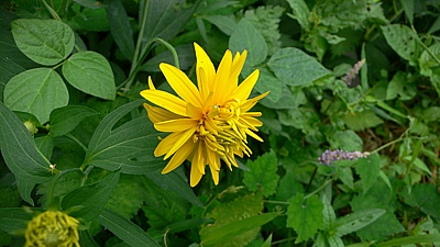 ea246416.jpg