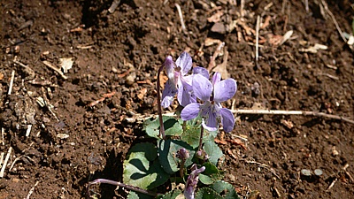 ec48e508.jpg