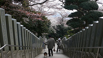 f087d9ed.jpg
