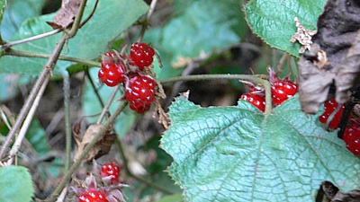 f0cbb5d8.jpg