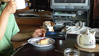 f1b44176.jpg