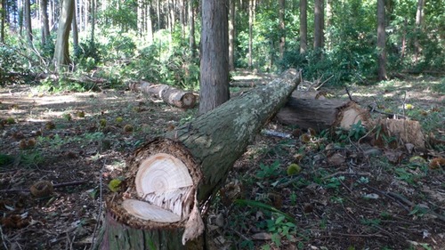 2012-10-04 19:59:11 写真1
