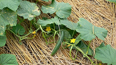 f1f1c977.jpg
