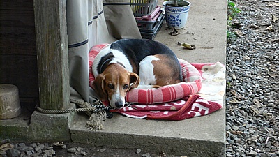 f212b5f4.jpg