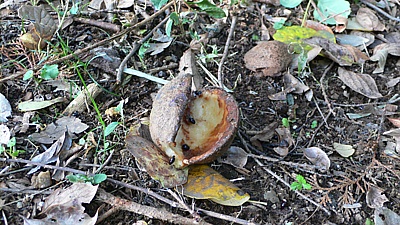f3024c9b.jpg