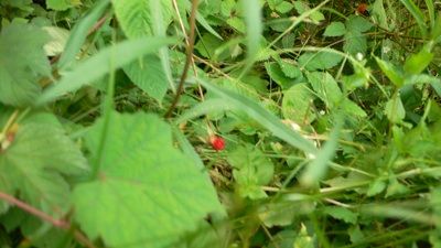 P1200531_resize1